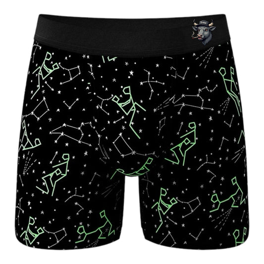 TerriBull Constellation Fornication Briefs